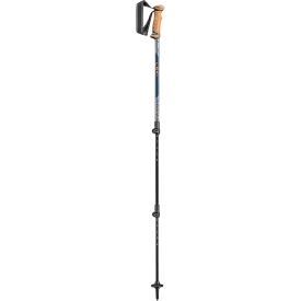 Leki Legacy Lite